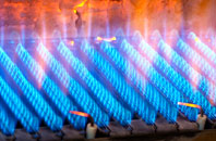Bowerhope gas fired boilers